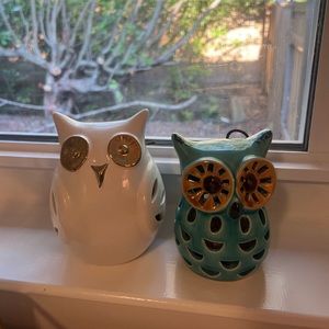 Pair of owl glass house decor